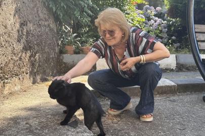 Vücudunda kırıklar bulunan sahipsiz kedi öğretmenlerin desteğiyle hayata tutundu