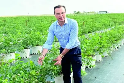 Yaban mersinine 4,5 milyon avroluk yatırım