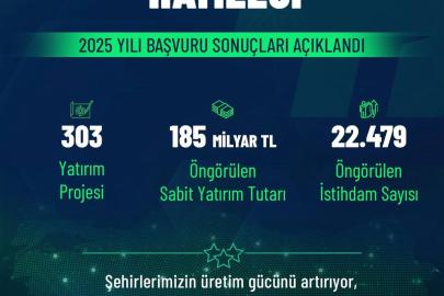 Yerel Kalkınma Hamlesi'nde 303 projeye 185 milyar TL destek
