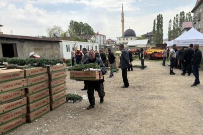 Yüksekova'da üreticilere sebze fidesi dağıtıldı