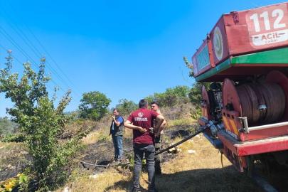 Zonguldak'ta çıkan yangında 2 hektar fındıklık alan yandı