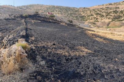 Cizre'de Anız Yangını: 1 Yaralı