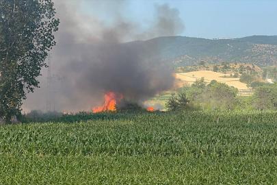 Kastamonu'da çıkan yangında 5 dekar buğday tarlası zarar gördü