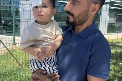 Şanlıurfa'da sahipsiz köpeğin saldırısına uğrayan çocuk yaralandı