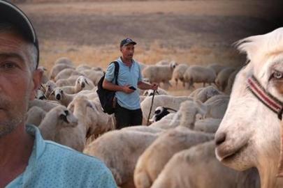 Sürünün içinden 'ihanet' çıktı: 19 senelik birikimimdi