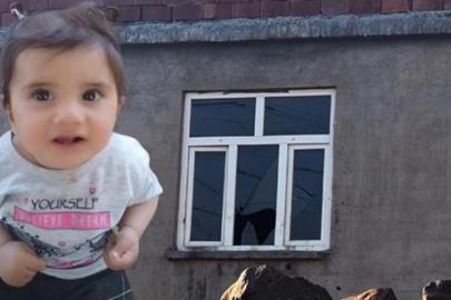 11 aylık Büşra bebeğin Diyarbakır'daki evi görüntülendi... Camların kırık olması dikkat çekti